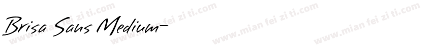 Brisa Sans Medium字体转换